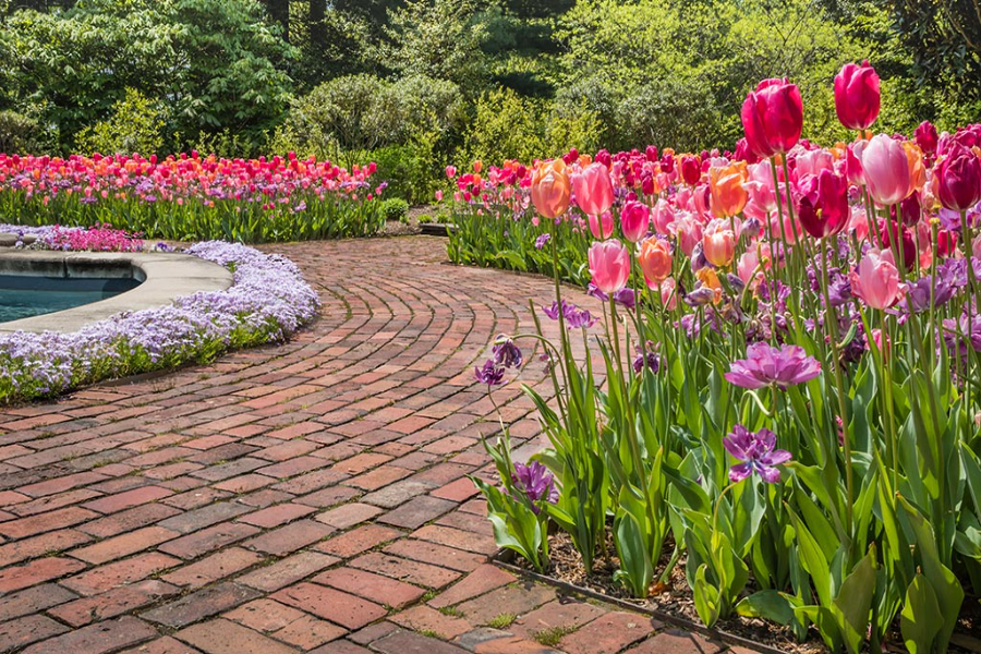Homedepot Pavers