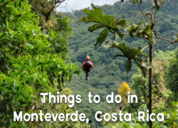 Monteverde Things To Do