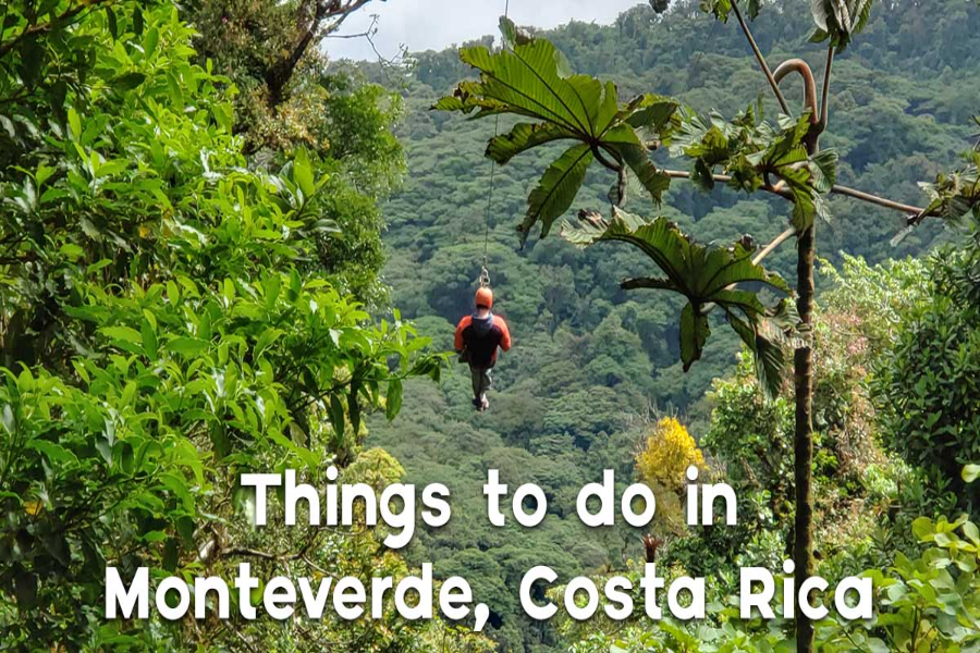 Monteverde Things To Do