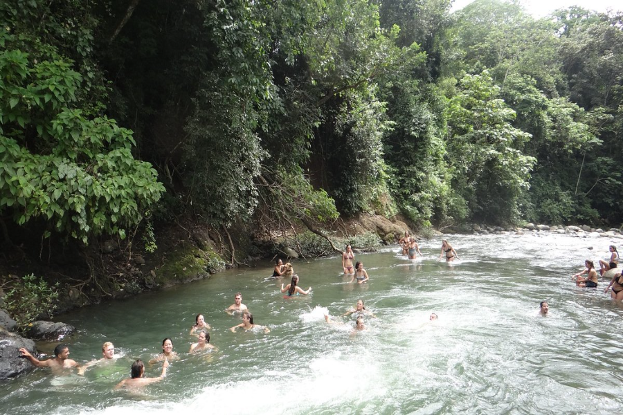 Monteverde Things To Do